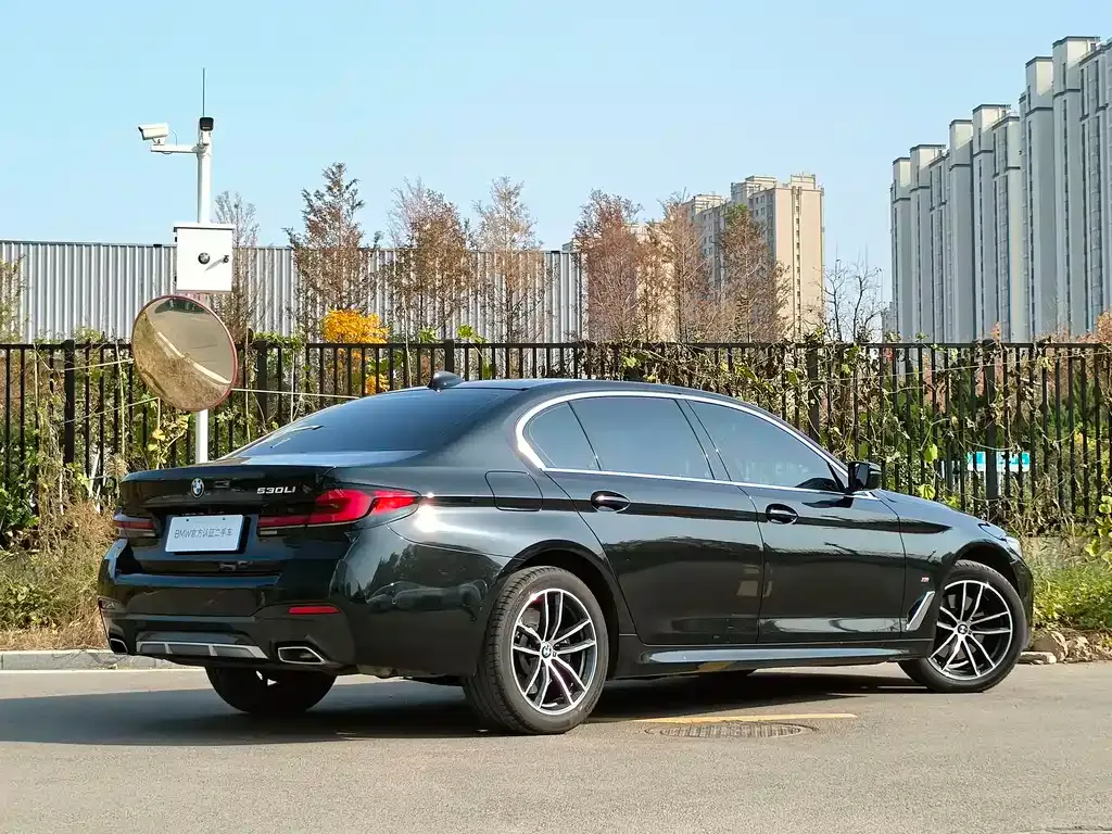 BMW 5 Series 2023 из CN, фото 6