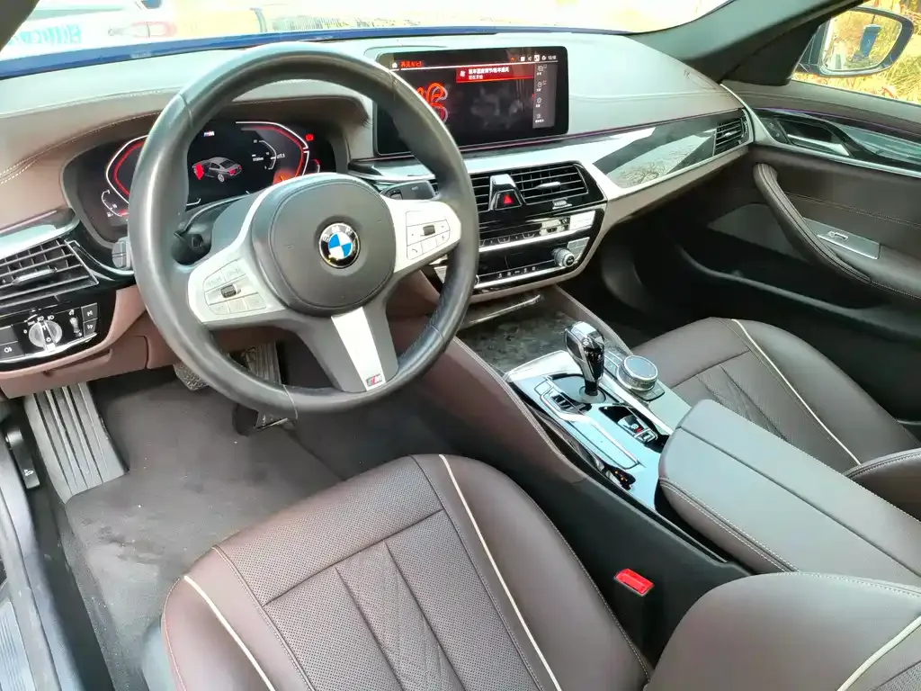 BMW 5 Series 2023 из CN, фото 9