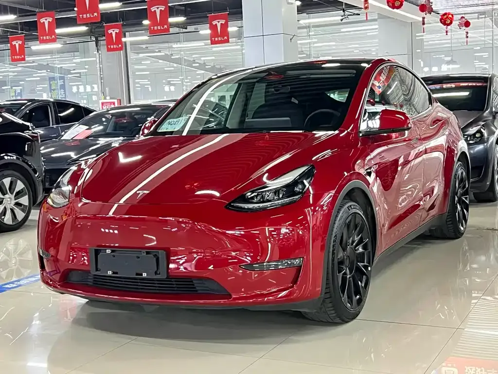 Tesla Model Y 2021 из CN, фото 1