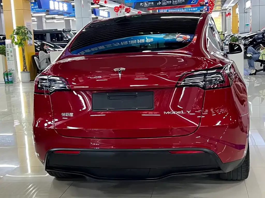 Tesla Model Y 2021 из CN, фото 10