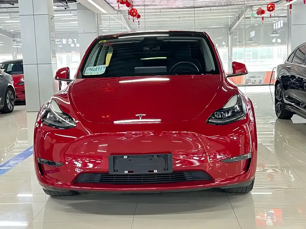 Tesla Model Y 2021 из CN, фото 2
