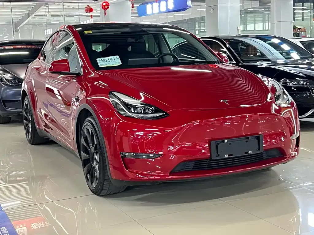 Tesla Model Y 2021 из CN, фото 3