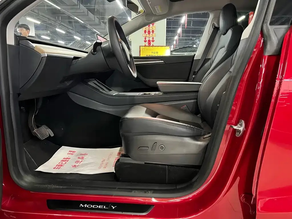 Tesla Model Y 2021 из CN, фото 5