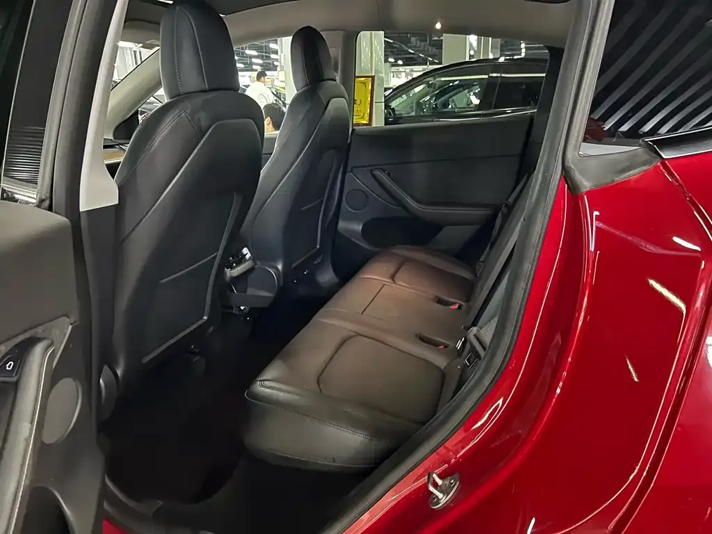Tesla Model Y 2021 из CN, фото 6