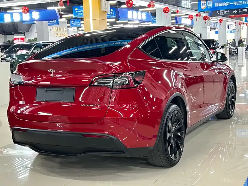 Tesla Model Y 2021 из CN, фото 9