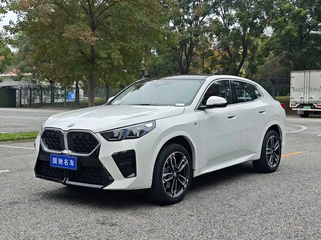 BMW X2 (Import) 2024 из CN, фото 1