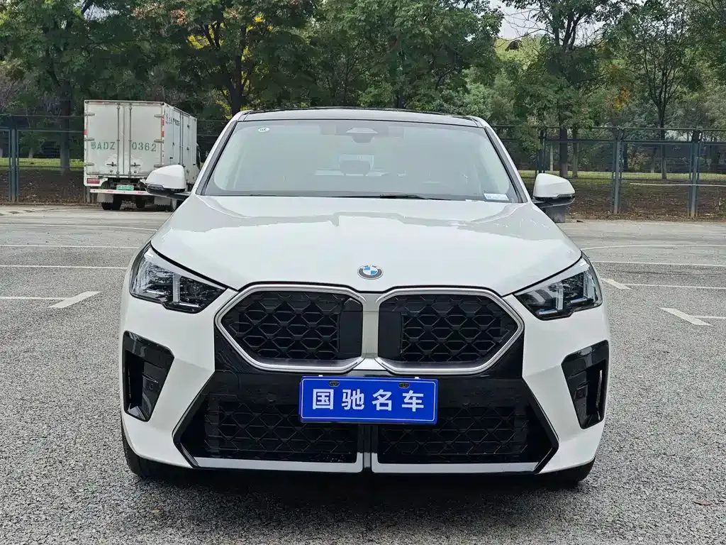 BMW X2 (Import) 2024 из CN, фото 2