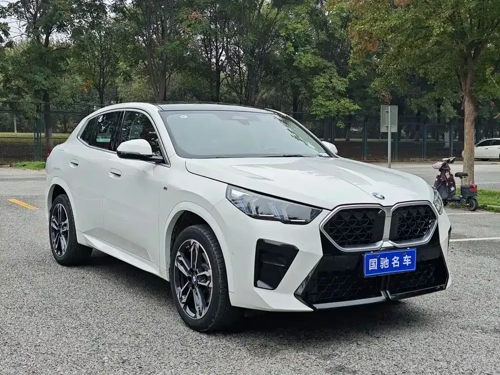 BMW X2 (Import) 2024 из CN, фото 3