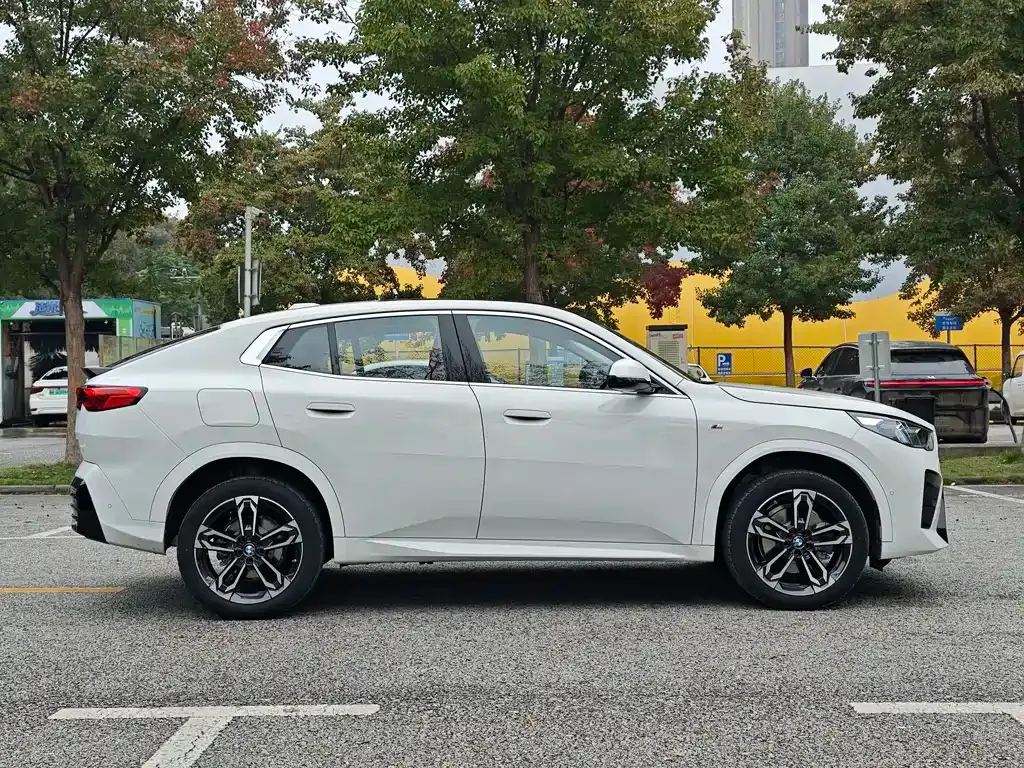BMW X2 (Import) 2024 из CN, фото 4