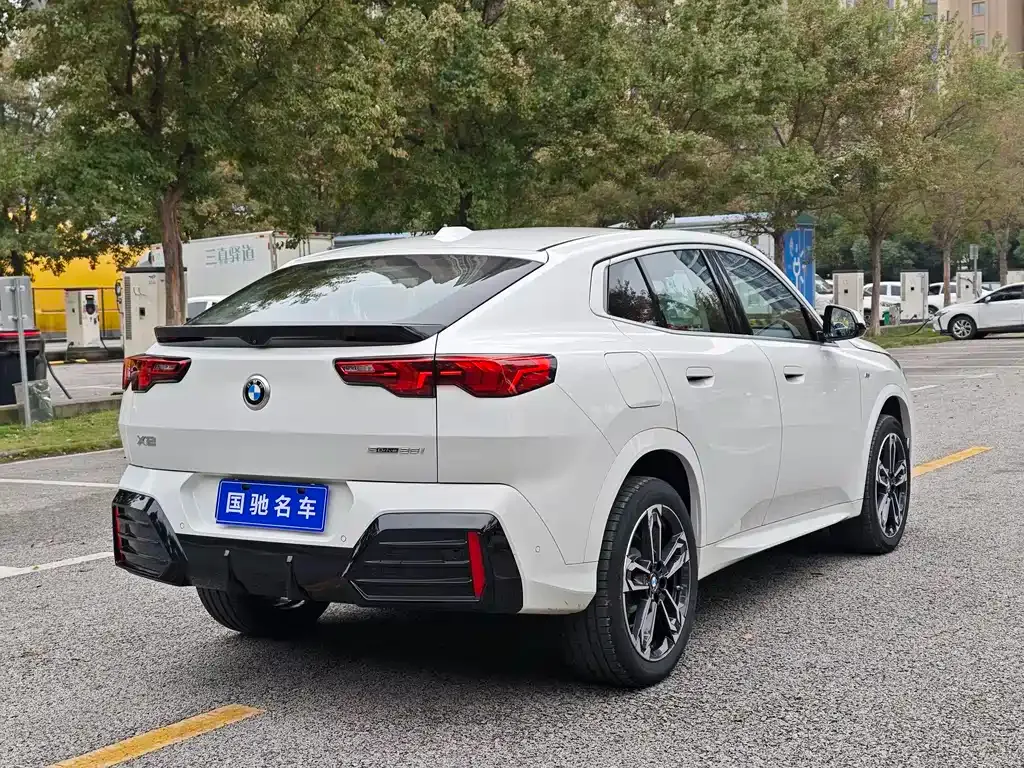 BMW X2 (Import) 2024 из CN, фото 5