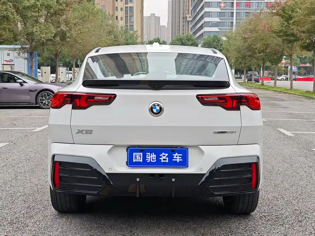 BMW X2 (Import) 2024 из CN, фото 6