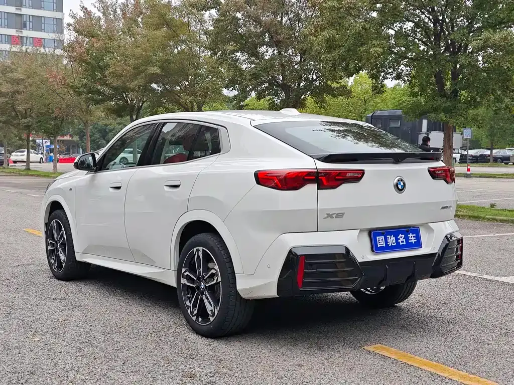 BMW X2 (Import) 2024 из CN, фото 7