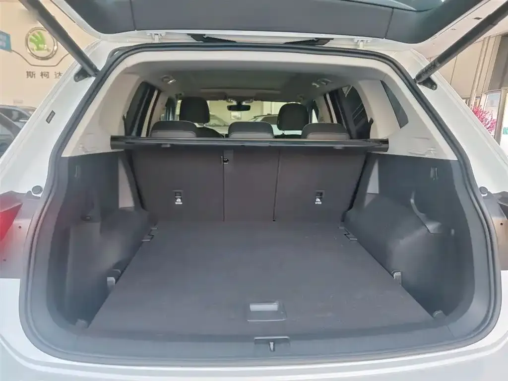 Volkswagen Tiguan L 2024 из CN, фото 9