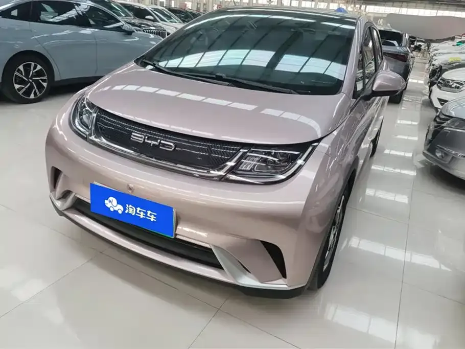 BYD Dolphin
