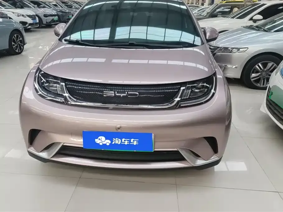 BYD Dolphin 2023 из CN, фото 2