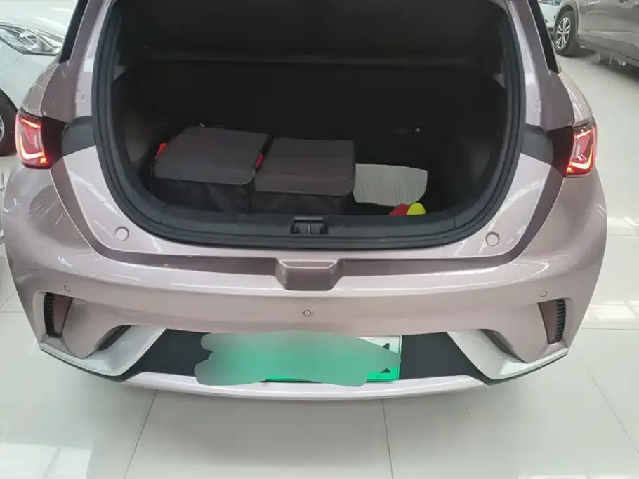 BYD Dolphin 2023 из CN, фото 4
