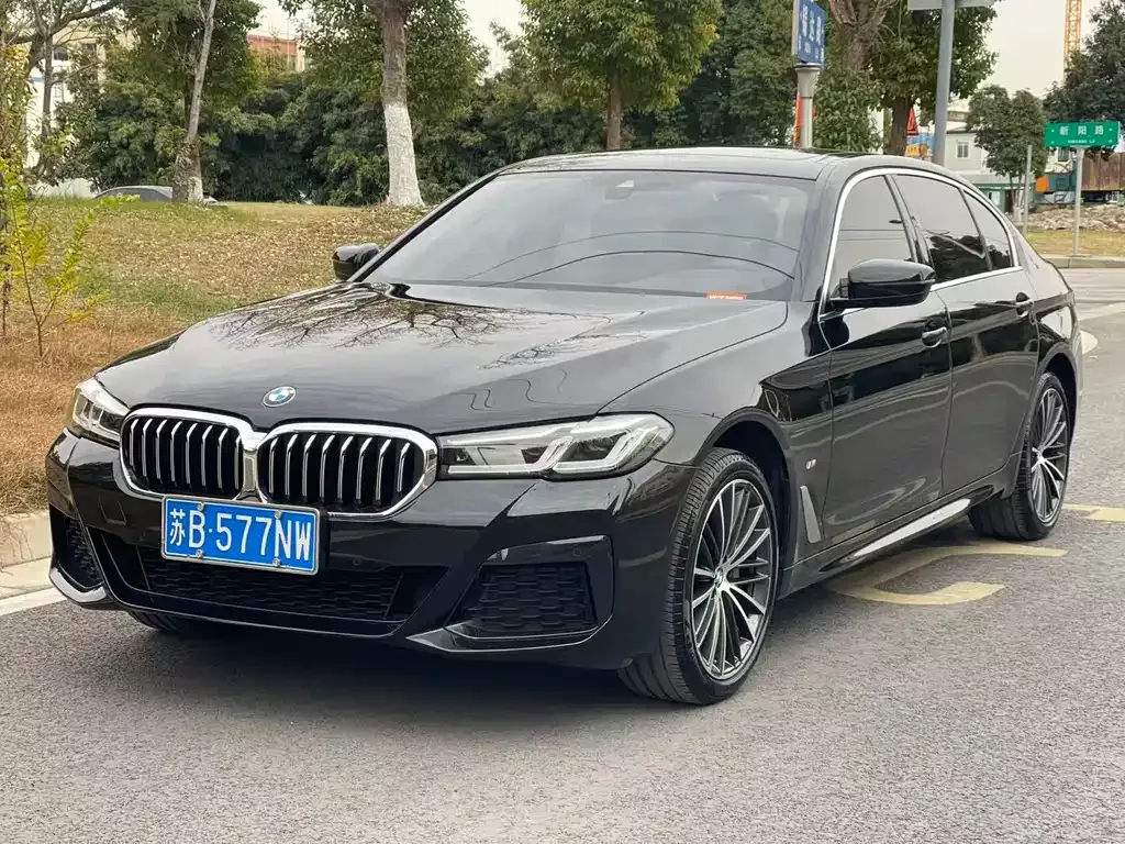 BMW 5 Series 2023 из CN, фото 1