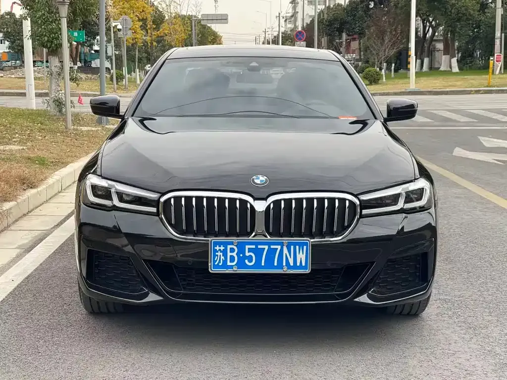 BMW 5 Series 2023 из CN, фото 2