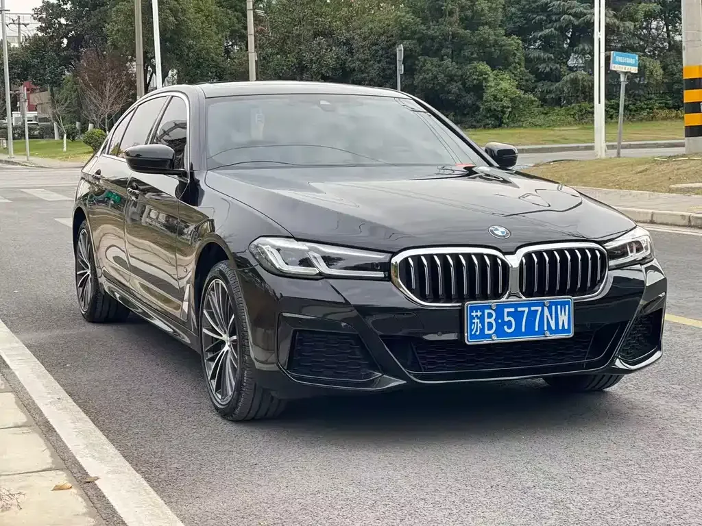 BMW 5 Series 2023 из CN, фото 3