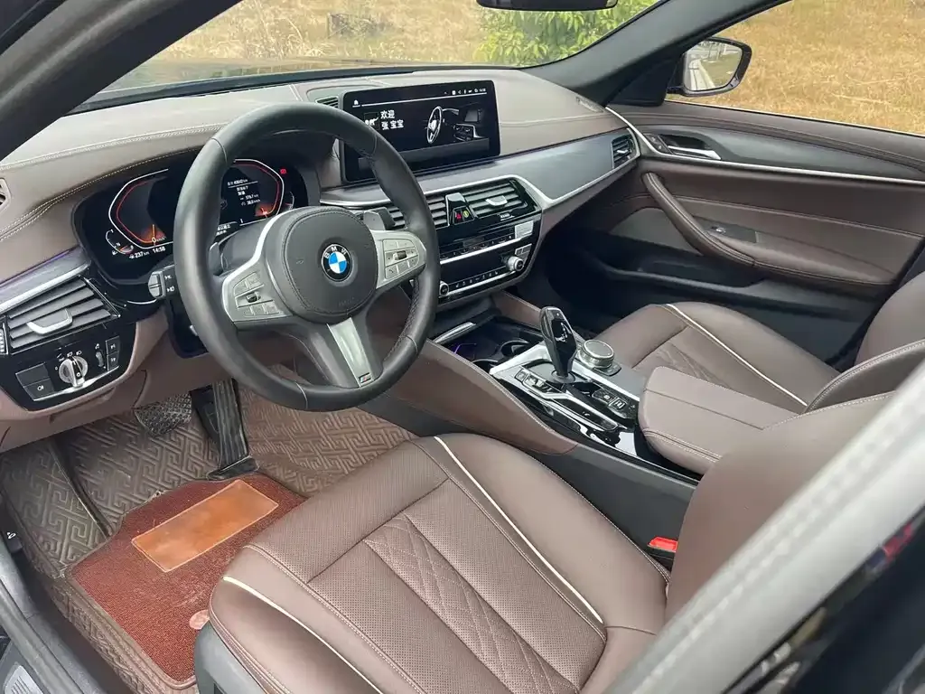 BMW 5 Series 2023 из CN, фото 5