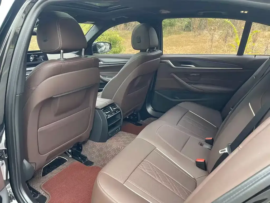 BMW 5 Series 2023 из CN, фото 6