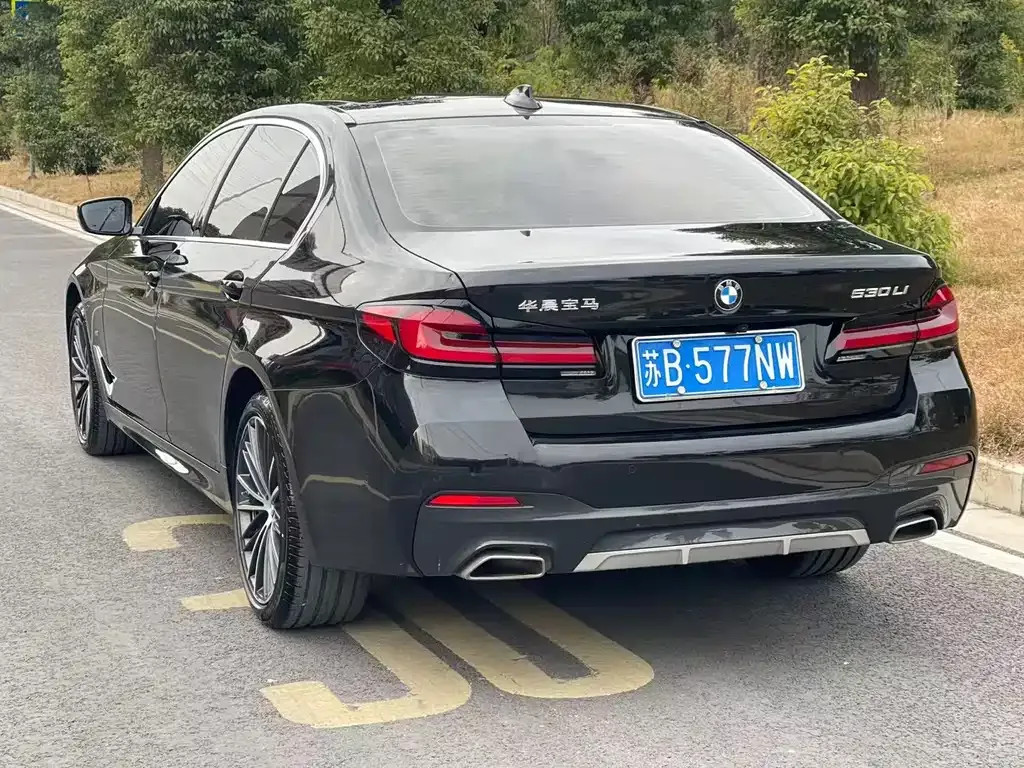 BMW 5 Series 2023 из CN, фото 9