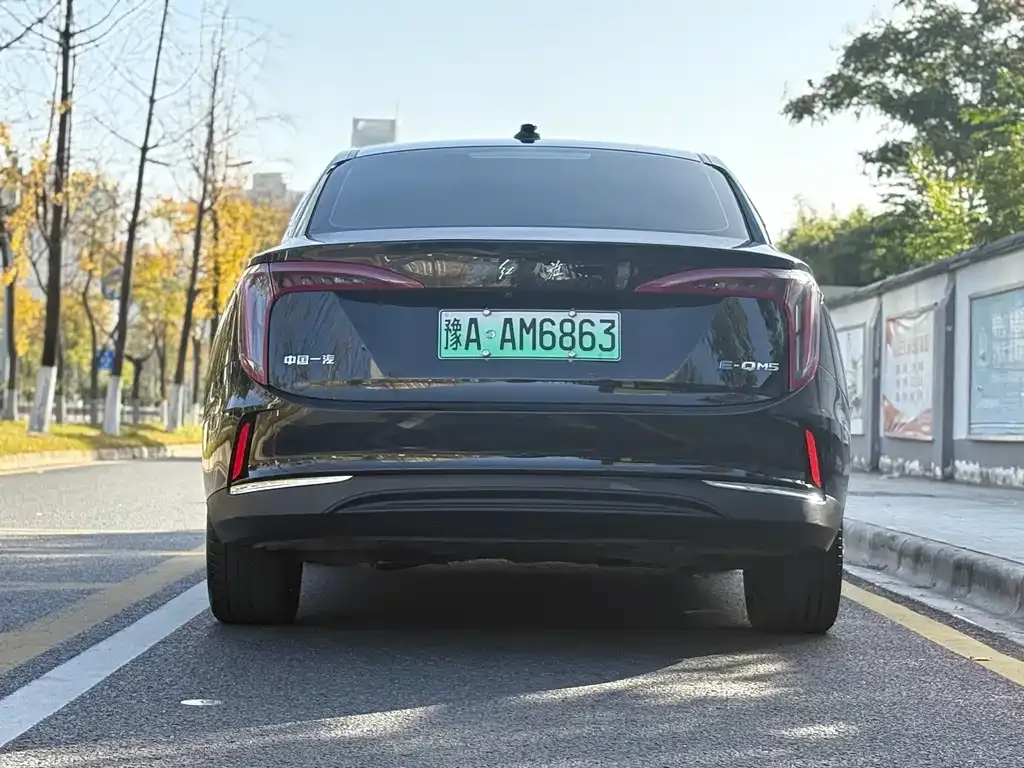 Hongqi E-QM5 2023 из CN, фото 5