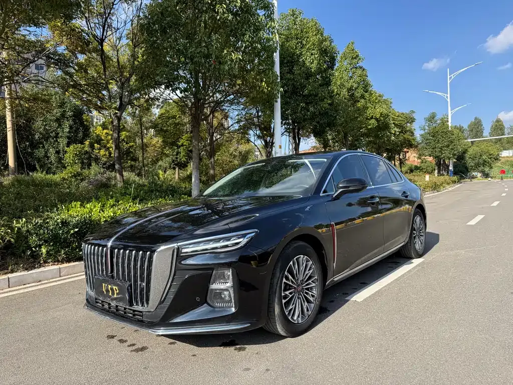 Hongqi H5 2023 из CN, фото 1