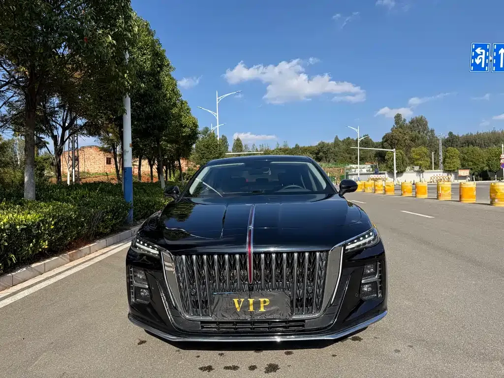 Hongqi H5 2023 из CN, фото 2