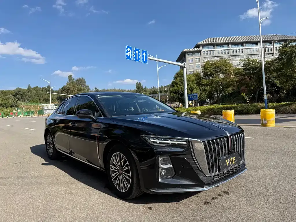 Hongqi H5 2023 из CN, фото 3