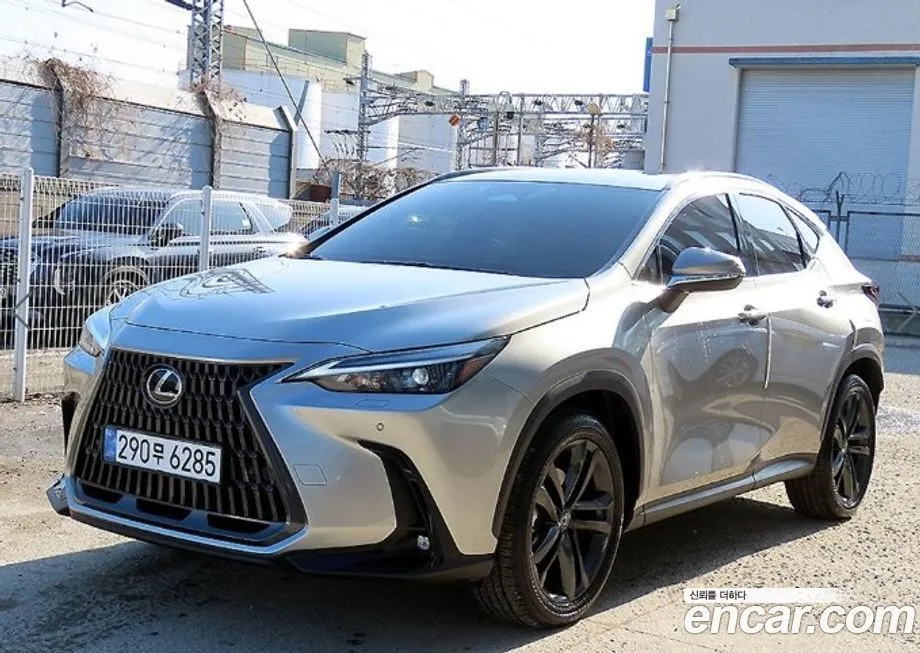 Lexus NX 2025 из KR, фото 2