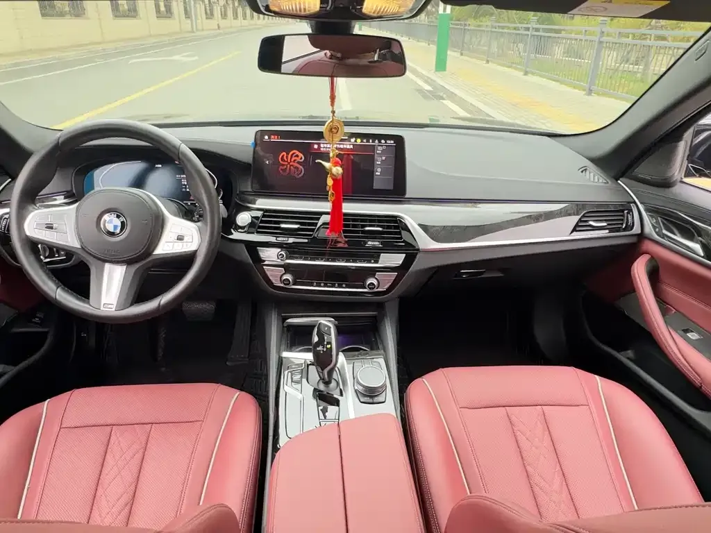 BMW 5 Series (Import) 2022 из CN, фото 4