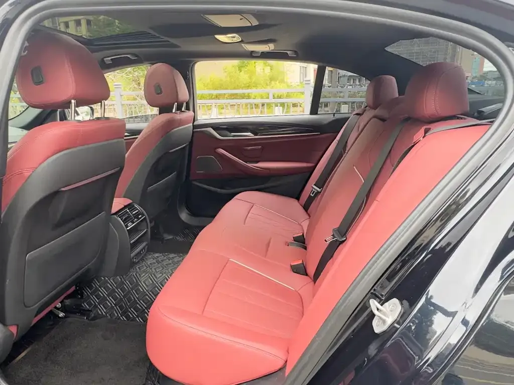 BMW 5 Series (Import) 2022 из CN, фото 6