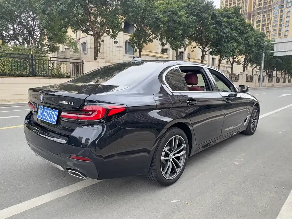 BMW 5 Series (Import) 2022 из CN, фото 9