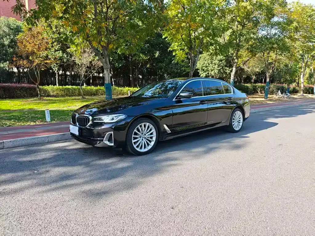 BMW 5 Series 2022 из CN, фото 1