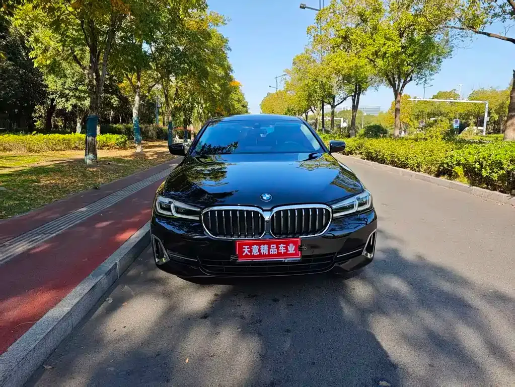 BMW 5 Series 2022 из CN, фото 2