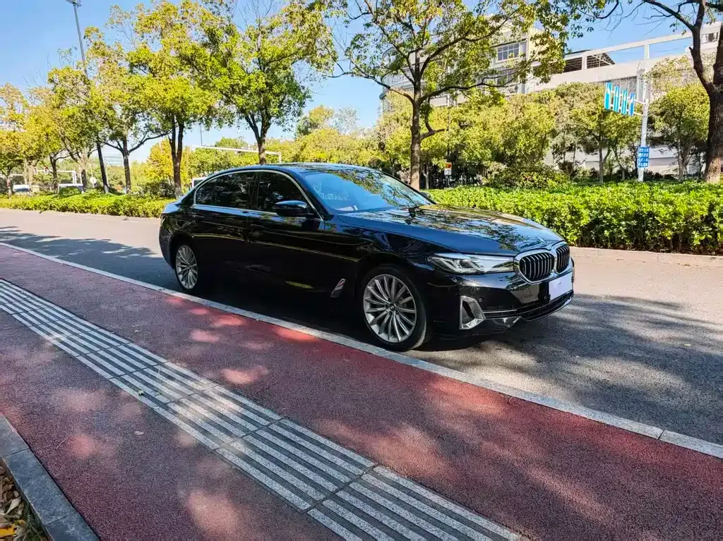 BMW 5 Series 2022 из CN, фото 3