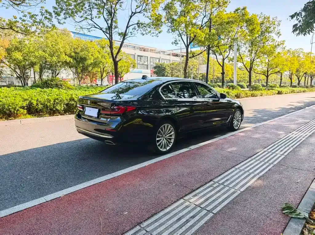 BMW 5 Series 2022 из CN, фото 4