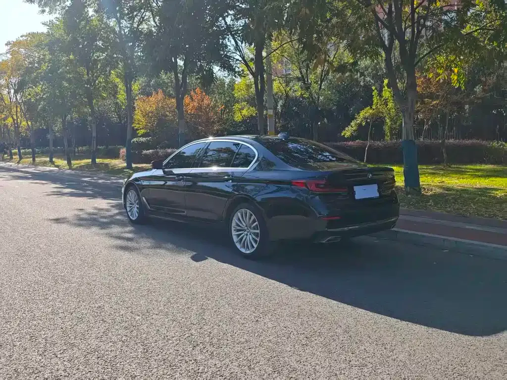 BMW 5 Series 2022 из CN, фото 6