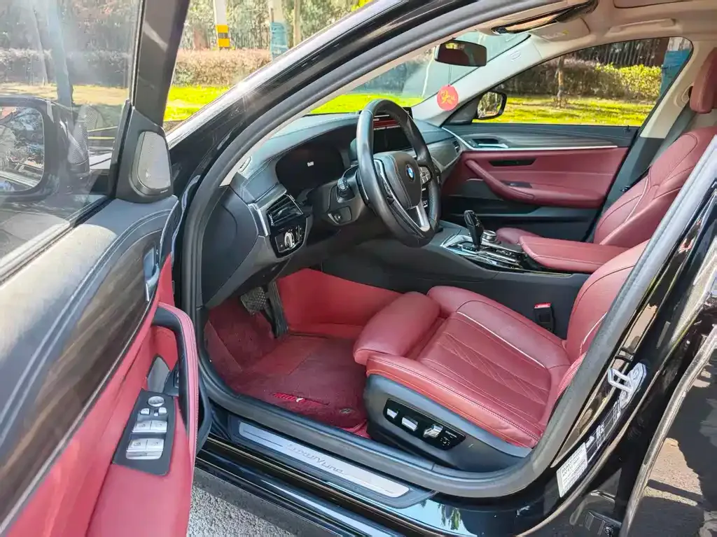 BMW 5 Series 2022 из CN, фото 9