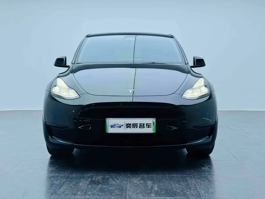 Tesla Model Y 2024 из CN, фото 2