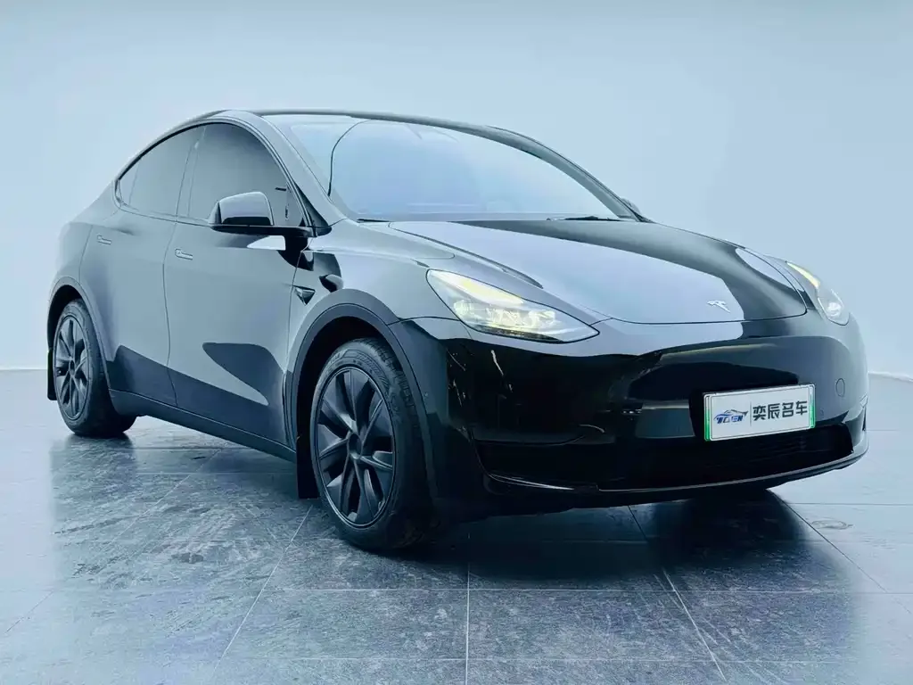 Tesla Model Y 2024 из CN, фото 3
