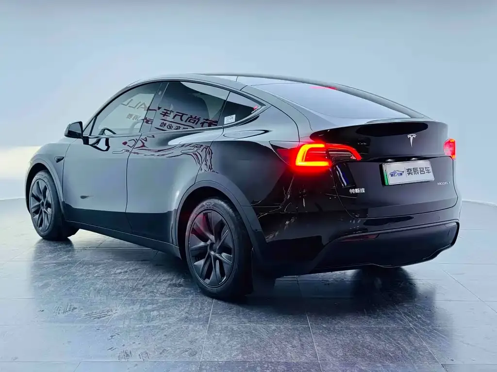Tesla Model Y 2024 из CN, фото 4