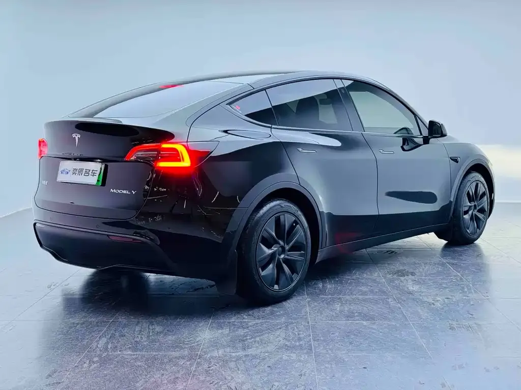 Tesla Model Y 2024 из CN, фото 6