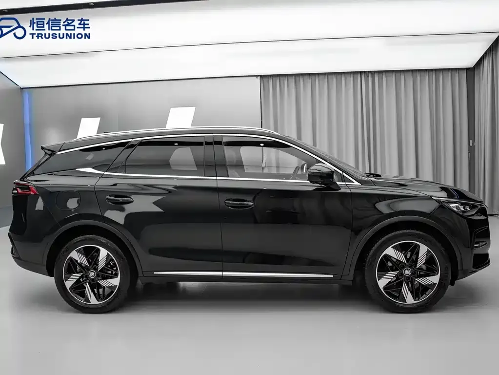 BYD Tang New Energy 2023 из CN, фото 10