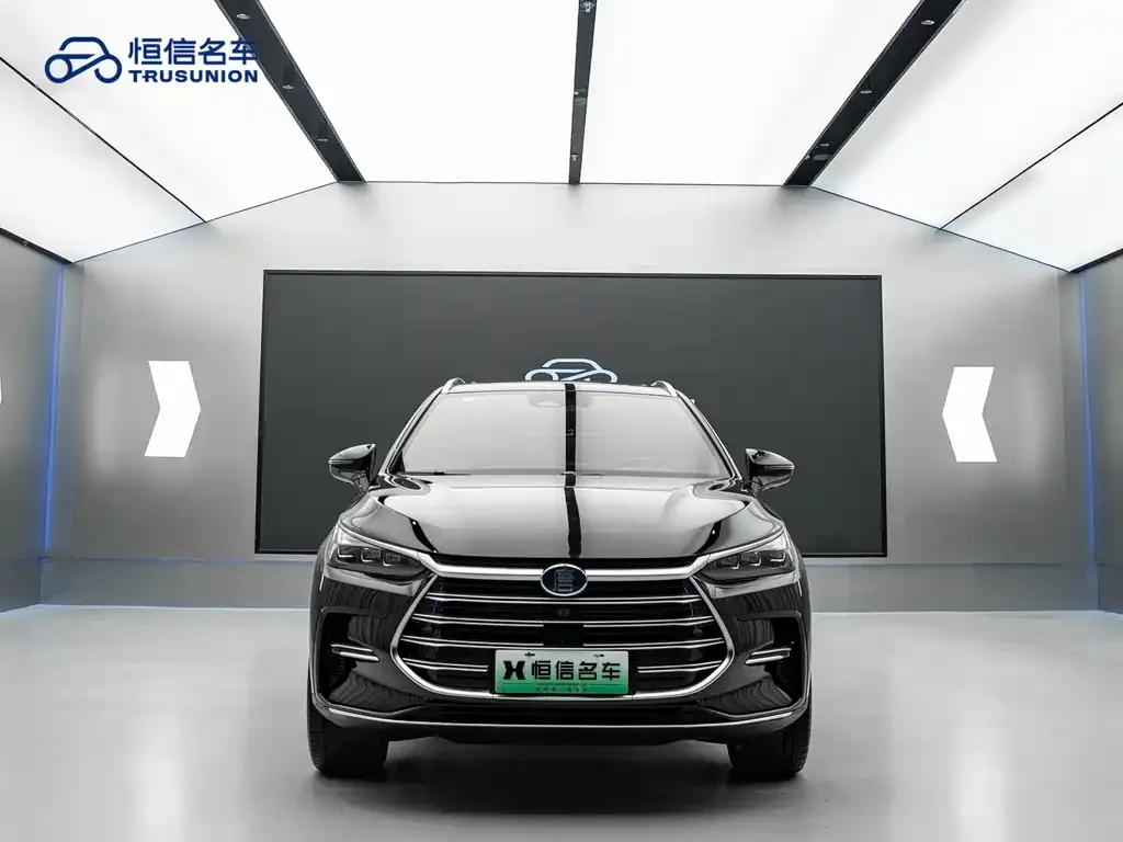 BYD Tang New Energy 2023 из CN, фото 2
