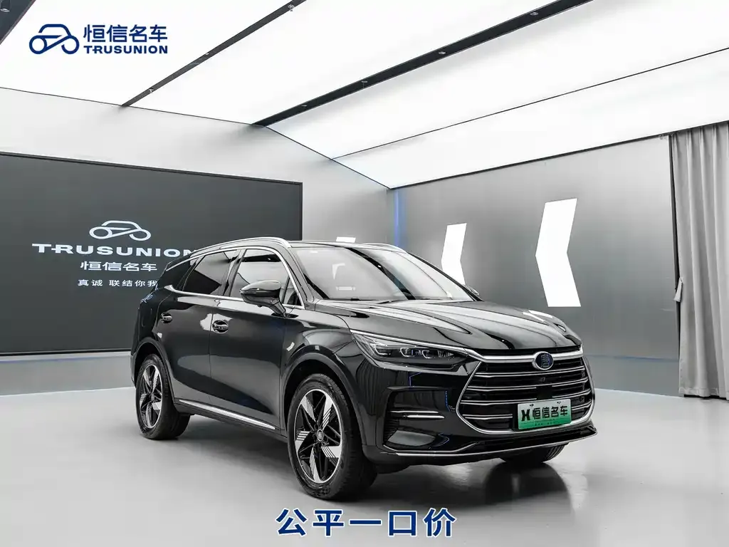 BYD Tang New Energy 2023 из CN, фото 3