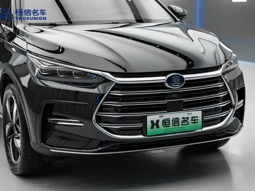 BYD Tang New Energy 2023 из CN, фото 5