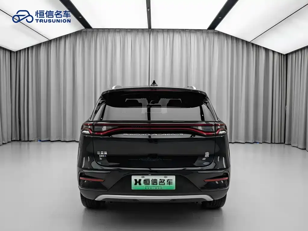BYD Tang New Energy 2023 из CN, фото 7