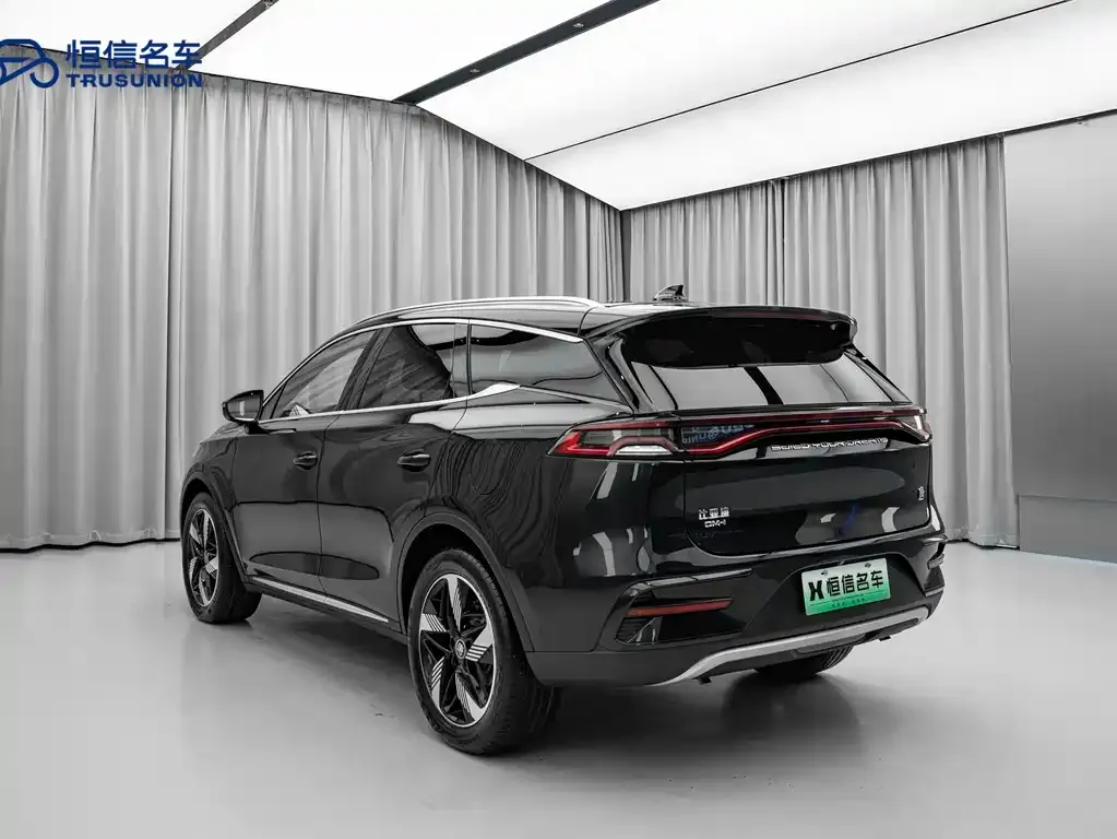 BYD Tang New Energy 2023 из CN, фото 8